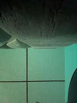 dulce celeste15 online show from November 2025 03:05:01 PM