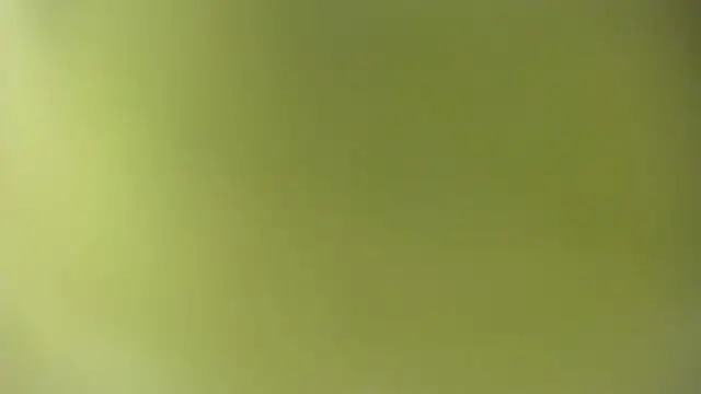 KOURTNEY-- online show from September 2025 02:07:01 AM