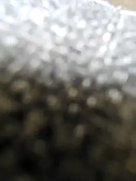 Moonbadboyss online show from October 2025 08:04:02 AM