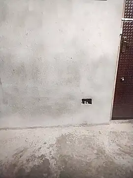 Priya-bhabi012 online show from February 2026 07:30:01 AM