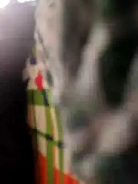 Priya-bhabi012 online show from April 2026 02:03:02 AM