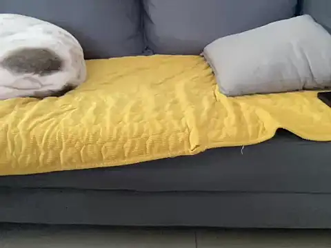 4small4inchlol online show from October 2025 10:50:02 AM