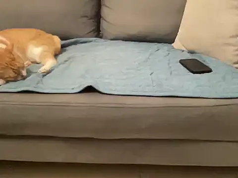 4small4inchlol online show from November 2025 03:59:01 PM