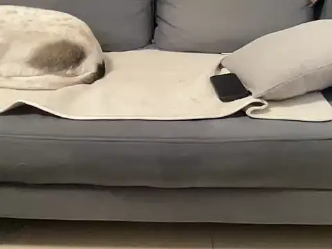 4small4inchlol online show from September 2025 09:31:02 PM