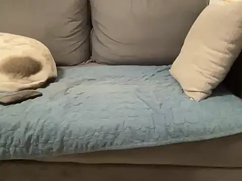 4small4inchlol online show from February 2026 11:50:01 PM