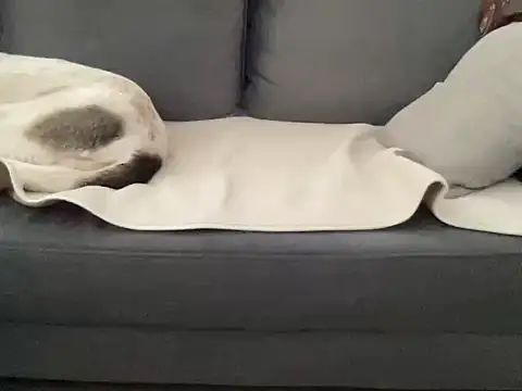 4small4inchlol online show from September 2025 07:26:01 AM