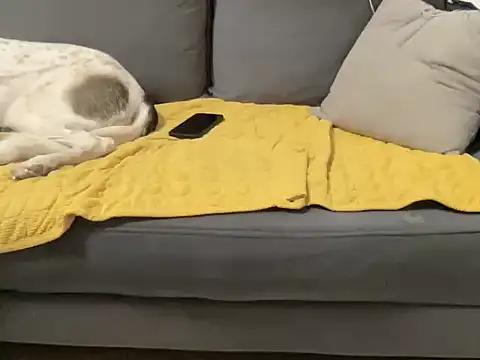 4small4inchlol online show from October 2025 04:39:01 PM