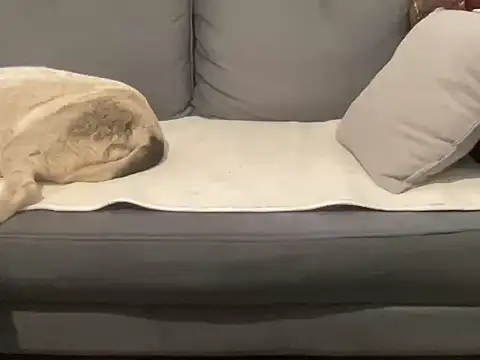 4small4inchlol online show from September 2025 09:00:01 AM