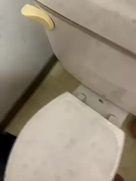 elperrinHN online show from November 2025 01:20:02 AM