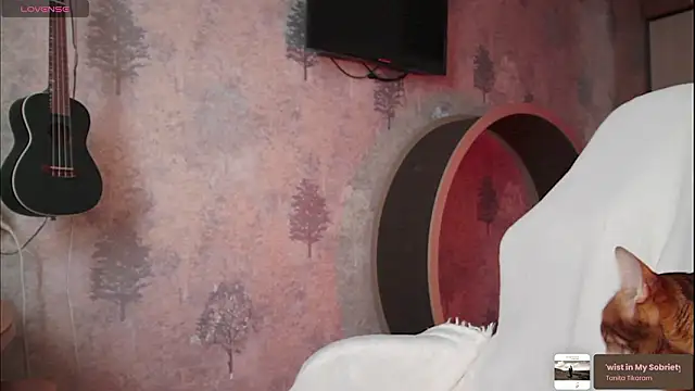 ms allison w online show from February 2026 11:29:01 AM