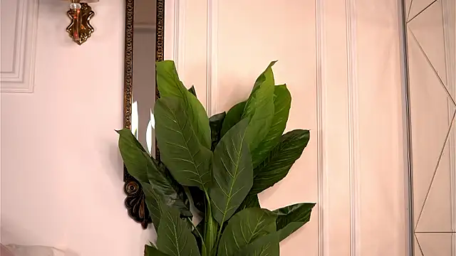 AvaShayy online show from March 2026 08:38:02 PM