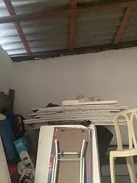 Charlotte Bradshaw online show from March 2026 03:13:02 PM