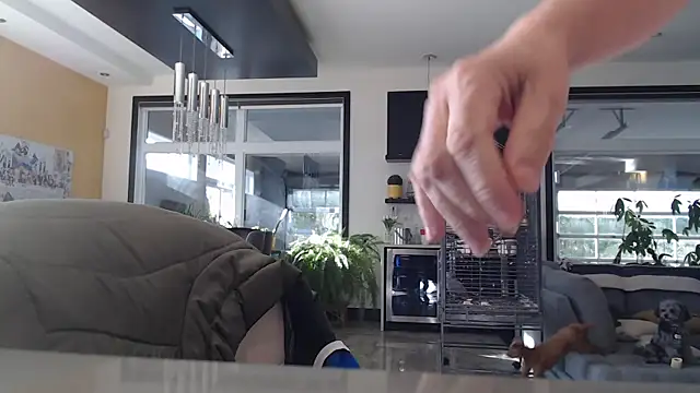 Toy-Daddy online show from November 2025 06:45:01 PM