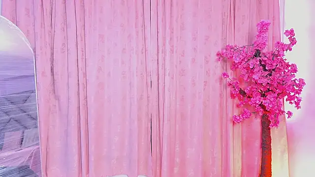 Elith noa online show from January 2026 07:30:02 PM