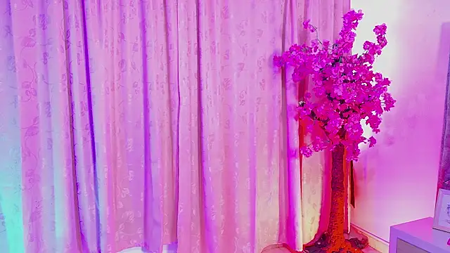 Elith noa online show from January 2026 07:29:02 PM