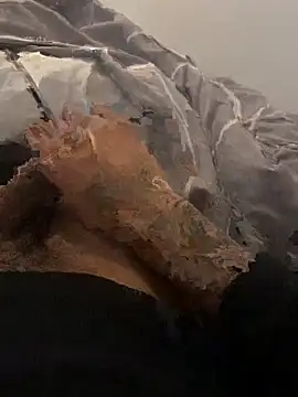 Snapshot of Nathan12- chatting on September 2025 02:42:01 PM Nathan12- online show from September 2025 02:42:01 PM