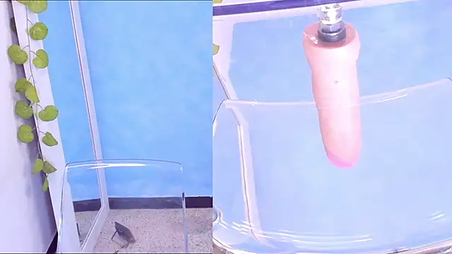 pamela cm online show from March 2026 11:19:02 AM