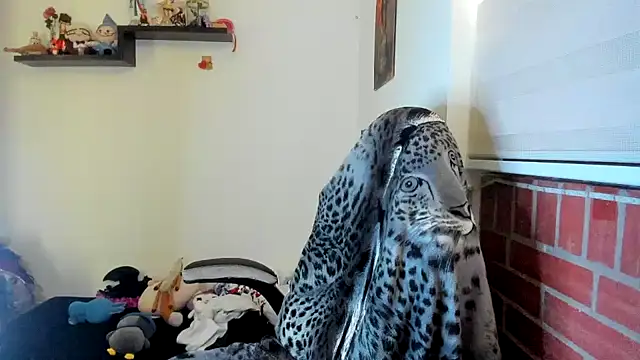 Shaddycute  online show from May 2026 02:02:02 PM