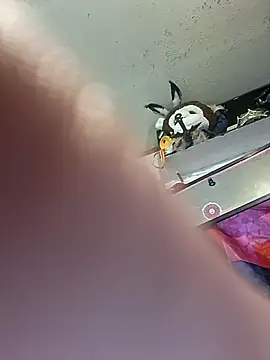 gettinit2wice online show from March 2026 02:00:02 PM