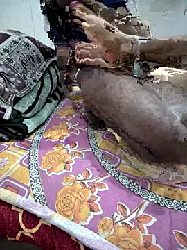 FeltedEuropium online show from November 2025 08:17:01 AM