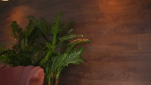 KairaAndrews online show from February 2026 07:57:02 PM