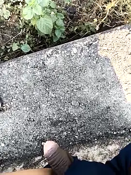 royalrohan3245 online show from November 2025 04:00:02 AM