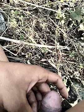 royalrohan3245 online show from November 2025 04:57:01 AM