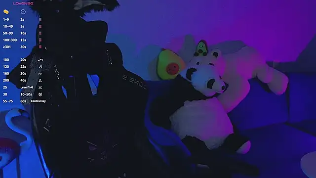 Snapshot of Saillise chatting on March 2025 09:21:01 PM Saillise online show from March 2025 09:21:01 PM