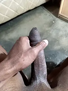 Snapshot of Sur1711 chatting on January 2026 04:35:02 PM Sur1711 online show from January 2026 04:35:02 PM