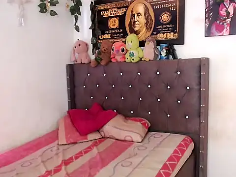 stefanny hot03 online show from December 2025 04:00:01 PM