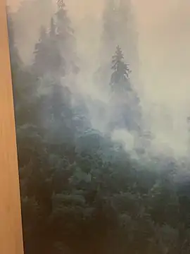 Snapshot of ladoucedu34 chatting on February 2026 03:34:01 PM ladoucedu34 online show from February 2026 03:34:01 PM