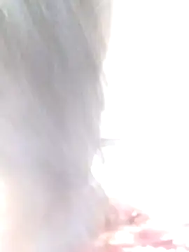 Rasmalai786 online show from November 2025 08:29:02 AM