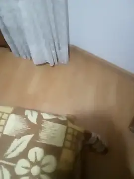 rush6983 online show from November 2025 01:31:02 AM