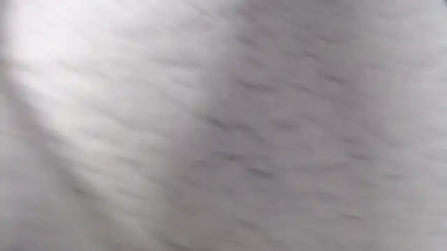 Snapshot of fk_me_good chatting on December 2025 04:52:02 PM fk me good online show from December 2025 04:52:02 PM