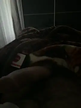 Serkan3356 online show from November 2025 07:56:01 AM