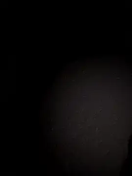 Metetededosmami online show from January 2026 09:05:01 AM