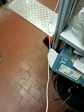 Porco81cazzo online show from December 2025 12:07:02 PM