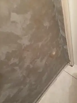 Snapshot of voliv34 chatting on February 2026 01:55:02 PM voliv34 online show from February 2026 01:55:02 PM