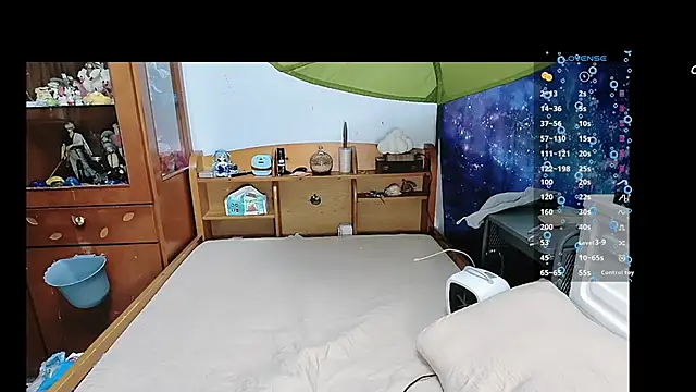 Fine-sand online show from March 2025 02:10:01 PM