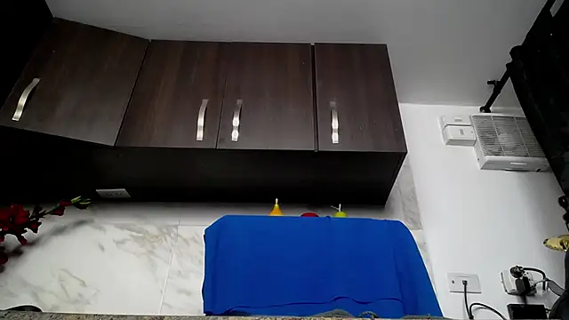 iniyalaboni online show from December 2025 08:30:02 PM