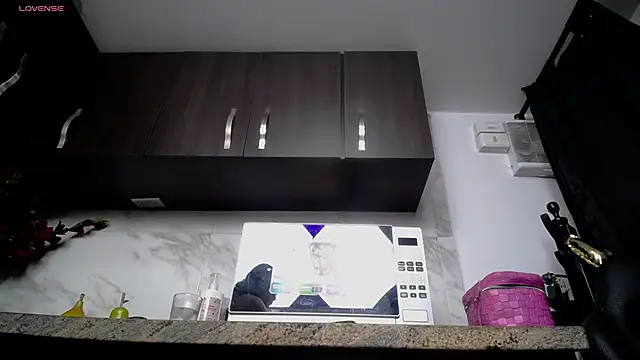 iniyalaboni online show from November 2025 08:20:01 PM