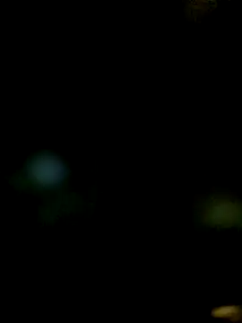 JAWHARA  online show from December 2025 10:04:01 PM