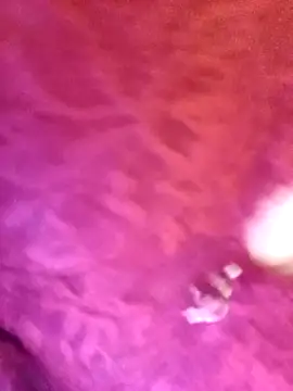 JAWHARA  online show from November 2025 11:30:01 PM