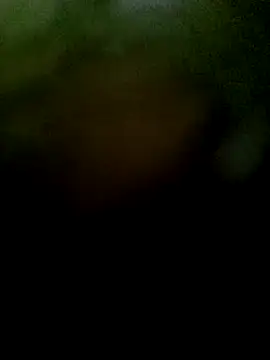 JAWHARA  online show from November 2025 01:04:02 PM