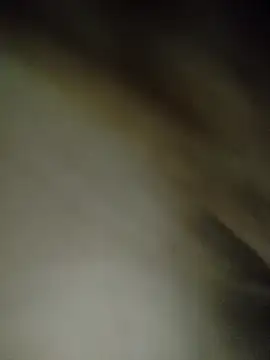 7alawa-44 online show from February 2026 01:18:02 PM