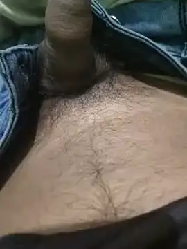 Snapshot of iaparna chatting on January 2025 06:16:02 PM iaparna online show from January 2025 06:16:02 PM