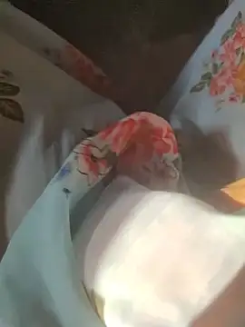 Snapshot of iaparna chatting on December 2024 04:05:01 AM iaparna online show from December 2024 04:05:01 AM