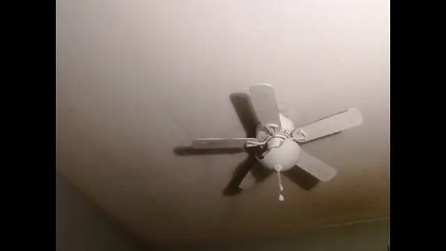 VanceFontaine online show from December 2025 04:05:02 AM