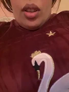 Snapshot of Samarr_9and chatting on December 2024 11:10:02 AM Samarr 9and online show from December 2024 11:10:02 AM