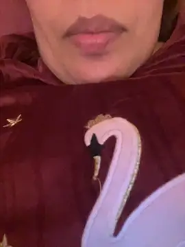 Snapshot of Samarr_9and chatting on December 2024 02:26:02 PM Samarr 9and online show from December 2024 02:26:02 PM